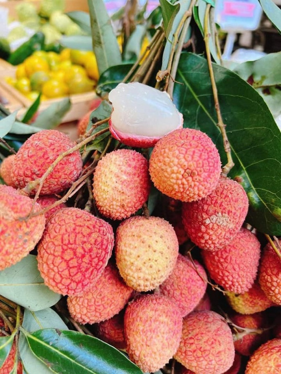Khám phá các loại trái cây đặc sản miền Bắc ngon nức tiếng 